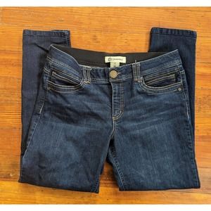 Democracy Ab Technology Straight Ankle Stretch Jeans 12